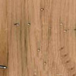 Wormy Chestnut Wormy Chestnut